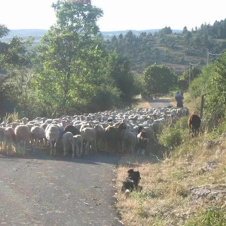 Le Des Champs, A Montbrun. *